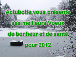 Voeux